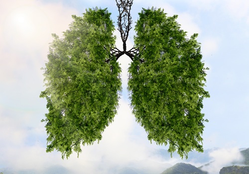 Zwei Baeume als-Silhouette der Lunge vor Berglandschaft