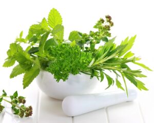 Kräuter in weißer Schale mit weisem Mörser