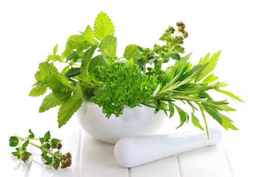 Kräuter in weißer Schale mit weisem Mörser