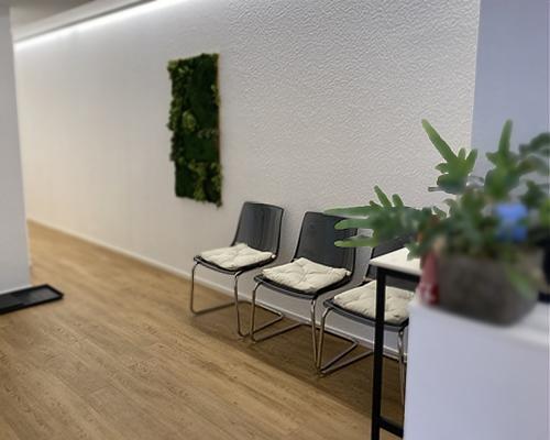Wartebereich der Naturheilpraxis Munz mit Stühlen, Pflanzen und ruhiger Atmosphäre